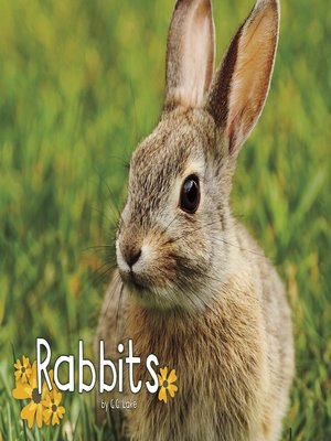 cover image of Rabbits